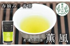白川茶 茶蔵園 上煎茶 「薫風-くんぷう-」 煎茶 お茶 緑茶 日本茶 茶葉 国産 一番茶 3000円
