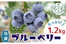 冷凍 ブルーベリー 約1.2kg 300g×4パック 小分け 便利 しげこさんのブルーベリー 甘い 大粒 ジャム お菓子 スイーツ デザート アイス 果物 フルーツ ブルーベリージャム 無農薬 化学肥料不使用 岐阜県 東白川村産 産地直送 大容量