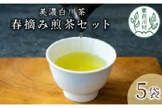 茶蔵園 春摘み煎茶セット (5袋入) お茶 日本茶 緑茶 煎茶 一番茶 高級 特上 特選 詰め合わせ 25000円
