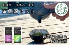 高級煎茶飲み比べ 茶蔵園セット 神賜 清流 お茶 白川茶 美濃白川茶 日本茶 緑茶 煎茶 春摘み一番茶 高級 12000円
