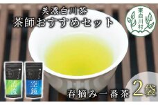 茶蔵園厳選 茶師のおすすめセット 2袋入 空鏡 清流 お茶 日本茶 緑茶 煎茶 春摘み一番茶 一番茶 高級 特上 最高評価 9000円