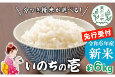 【先行受付】令和6年産 いのちの壱 玄米 約6kg 新米 東白川村産 お米 米 【ご希望により無洗米、白米、8分つき、5分つき、精米いたします！】10000円 一万円