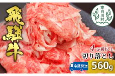 【10月発送】飛騨牛 4等級以上 切り落とし 560g 牛肉 和牛 肉 切落し ブランド牛 4等級 5等級 国産 10000円