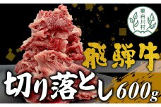 【10月発送】飛騨牛 切り落とし 600g 牛肉 和牛 肉 切落し ブランド牛 国産 10000円