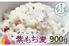 【令和7年度産】 東白川村産 紫もち麦 ダイシモチ 900g もち麦 麦 大麦 雑穀 お米 こめ 精米 ご飯 食物繊維 お取り寄せ 5000円