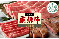 飛騨牛 定期便 全3回 すき焼き しゃぶしゃぶ ステーキ 焼肉 BBQ ロース カタロース ロースステーキ サーロインステーキ モモ カタ 贅沢 贈り物 3ヶ月 定期 おすすめ 選べる 人気 飛騨 ブランド牛 養老ミート