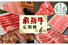 飛騨牛 定期便 全6回 A5等級すき焼き しゃぶしゃぶ ステーキ 焼肉 BBQ ロース カタロース ロースステーキ サーロインステーキ モモ カタ 切り落とし 贅沢 贈り物 6ヶ月 定期 おすすめ 人気 選べる 飛騨 ブランド牛 養老ミート