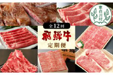 飛騨牛 定期便 全12回 A5等級すき焼き しゃぶしゃぶ ステーキ 焼肉 BBQ ロース カタロース ロースステーキ サーロインステーキ モモ カタ 厚切り ステーキ 切り落とし 贅沢 贈り物 12ヶ月 定期 おすすめ 人気 選べる 飛騨 ブランド牛 定期 養老ミート
