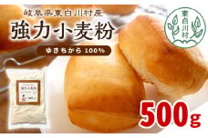 強力小麦粉 ゆきちから 500g 岐阜県 東白川村産 ブランド小麦 国産 お取り寄せ 強力粉 小麦粉 パン パン作り 製パン 製パン材料 食パン ベーグル お菓子作り 麦 小麦 ホームベーカリー