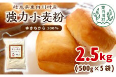 強力小麦粉 ゆきちから 2.5kg（500g×5袋） 岐阜県 東白川村産 ブランド小麦 国産 お取り寄せ 強力粉 小麦粉 パン パン作り 製パン 製パン材料 食パン ベーグル お菓子作り 麦 小麦 ホームベーカリー