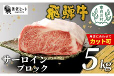 お好きなカット可能！ 飛騨牛 サーロインブロック 5kg 牛肉 和牛 肉 塊肉 サーロイン ステーキ すき焼き しゃぶしゃぶ 赤身 肉 牛 牛肉 鉄板焼き お祝い 贈答 ギフト 贈り物 ふるさと納税 東白川村 岐阜 贅沢 霜降り 柔らかい ジューシー 養老ミート 400000円