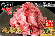 【10月発送】 飛騨牛 切り落とし 250g A5 A4 国産 牛 冷凍 お試し 和牛 牛肉 切落し 切り落し 訳あり 牛丼 すき焼き しゃぶしゃぶ 東白川村 岐阜 飛騨 贅沢 霜降り ロース バラ もも ウデ 肉のひぐち 5000円 五千円
