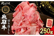飛騨牛 切り落とし 250g A5 A4 国産 牛 黒毛和牛 和牛 牛肉 切落し 切り落し 薄切り 訳あり 牛丼 すき焼き しゃぶしゃぶ 炒め物 東白川村 岐阜 飛騨 贅沢 霜降り ロース バラ もも ウデ 肉のひぐち