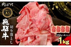 飛騨牛 切り落とし 1kg（250g×4P） A5 A4 国産 牛 黒毛和牛 和牛 牛肉 切落し 切り落し 薄切り 訳あり 牛丼 すき焼き しゃぶしゃぶ 炒め物 東白川村 岐阜 飛騨 贅沢 霜降り ロース バラ もも ウデ 肉のひぐち