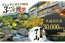 【ミシュランガイド3つ星獲得！】鬼岩温泉 了山・Ryo-an 共通利用券 30,000円分  / 天然温泉 エステ カフェ 食事 温泉 入浴 宿泊 日帰り 温泉利用券 利用券 温泉宿 宿泊券 チケット 旅行クーポン  / 御嵩町 / 了山 [AVAH004]