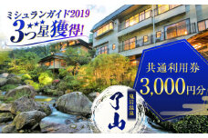 【ミシュランガイド3つ星獲得！】鬼岩温泉 了山・Ryo-an 共通利用券 3,000円分 / 天然温泉 エステ カフェ 食事 温泉 入浴 宿泊 日帰り 温泉利用券 利用券 温泉宿 宿泊券 チケット 旅行クーポン  / 御嵩町 / 了山 [AVAH001]