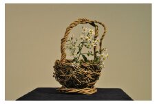 用と美を兼ねた、自然素材（つづらふじ）の花かご [AVAS001]