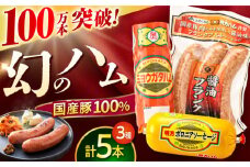 明方ハム詰め合わせ Ａセット / 明方 ハム 厚切り ボロニアソーセージ ハムステーキ 朝食 フランクフルト ウインナー BBQ ソーセージ フランク 箱入り ギフト / 御嵩町 / めぐみの農業協同組合 [AVBA001]