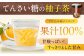 柚子 柚子胡椒 ゆず 柚子コショウ ゆずこしょう 柚子茶