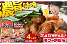 【3回定期便】岐阜県産豚もつの鉄板焼き「元祖みたけとんちゃん」2種セット（4人前） / モツ もつ 白もつ ホルモン / 御嵩町 / 藤よし [AVAA012]