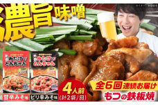 【6回定期便】岐阜県産豚もつの鉄板焼き「元祖みたけとんちゃん」2種セット（4人前） / モツ もつ 白もつ ホルモン / 御嵩町 / 藤よし [AVAA013]