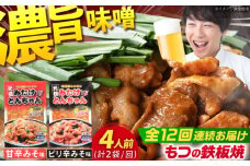 【12回定期便】岐阜県産豚もつの鉄板焼き「元祖みたけとんちゃん」甘辛＆ピリ辛 各1袋（4人前） / モツ もつ 白もつ ホルモン / 御嵩町 / 藤よし [AVAA014]