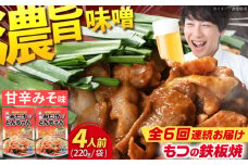 【6回定期便】岐阜県産豚もつの鉄板焼き「元祖みたけとんちゃん」甘辛みそ味（4人前） / モツ もつ 白もつ ホルモン / 御嵩町 / 藤よし [AVAA019]
