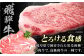 飛騨牛 ブランド牛 A5 サーロイン ステーキ サーロインステーキ 4枚  ステーキ肉 すてーき  さーろいん 肉 牛肉 定期便