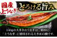 うなぎ 鰻 ウナギ 国産 三河一色 かば焼き 蒲焼 蒲焼き 厳選 料亭 お取り寄せ うな重 ひつまぶし