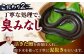うなぎ 鰻 ウナギ 国産 三河一色 白焼き 白焼 白やき 厳選 料亭 お取り寄せ うな重 ひつまぶし