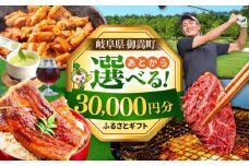 【あとから選べる】 岐阜県御嵩町ふるさとギフト 3万円分  飛騨牛 うなぎ ゴルフ場 あとから ギフト [AVBM007]