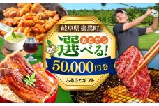【あとから選べる】 岐阜県御嵩町ふるさとギフト 5万円分  飛騨牛 うなぎ ゴルフ場 あとから ギフト [AVBM008]