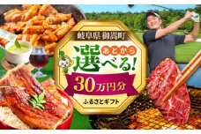 【あとから選べる】 岐阜県御嵩町ふるさとギフト 30万円分  飛騨牛 うなぎ ゴルフ場 あとから ギフト [AVBM013]
