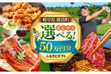 【あとから選べる】 岐阜県御嵩町ふるさとギフト 50万円分  飛騨牛 うなぎ ゴルフ場 あとから ギフト [AVBM014]