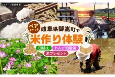 田植え体験 ＆ れんげ畑散策 ペアチケット/田植え 体験 お米 米 ペア/御嵩町/株式会社アオキ [AVBN001]
