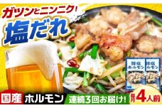 【3回定期便】岐阜県産豚もつの鉄板焼き「元祖みたけとんちゃん」豚塩味（4人前） / モツ もつ 白もつ ホルモン / 御嵩町 / 藤よし [AVAA058]