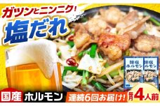 【6回定期便】岐阜県産豚もつの鉄板焼き「元祖みたけとんちゃん」豚塩味（4人前） / モツ もつ 白もつ ホルモン / 御嵩町 / 藤よし [AVAA059]