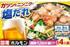 【12回定期便】岐阜県産豚もつの鉄板焼き「元祖みたけとんちゃん」豚塩味（4人前） / モツ もつ 白もつ ホルモン / 御嵩町 / 藤よし [AVAA060]
