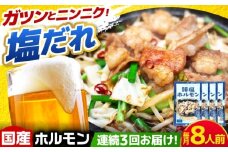 【3回定期便】岐阜県産豚もつの鉄板焼き「元祖みたけとんちゃん」豚塩味（8人前） / モツ もつ 白もつ ホルモン / 御嵩町 / 藤よし [AVAA061]