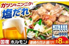 【6回定期便】岐阜県産豚もつの鉄板焼き「元祖みたけとんちゃん」豚塩味（8人前） / モツ もつ 白もつ ホルモン / 御嵩町 / 藤よし [AVAA062]