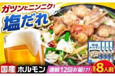 【12回定期便】岐阜県産豚もつの鉄板焼き「元祖みたけとんちゃん」豚塩味（8人前） / モツ もつ 白もつ ホルモン / 御嵩町 / 藤よし [AVAA063]