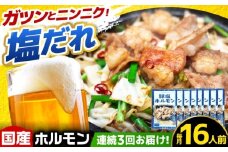 【3回定期便】岐阜県産豚もつの鉄板焼き「元祖みたけとんちゃん」豚塩味 8袋（16人前） / モツ もつ 白もつ ホルモン / 御嵩町 / 藤よし [AVAA079]