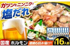 【6回定期便】岐阜県産豚もつの鉄板焼き「元祖みたけとんちゃん」豚塩味（16人前） / モツ もつ 白もつ ホルモン / 御嵩町 / 藤よし [AVAA080]