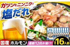【12回定期便】岐阜県産豚もつの鉄板焼き「元祖みたけとんちゃん」豚塩味（16人前） / モツ もつ 白もつ ホルモン / 御嵩町 / 藤よし [AVAA081]