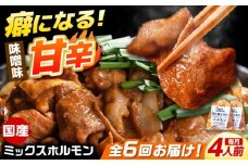 【6回定期便】 「元祖みたけとんちゃん」 昔ながらのミックスホルモン 2袋 / モツ もつ レバー ホルモン / 御嵩町 / 藤よし [AVAA083]