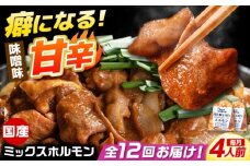 【12回定期便】 「元祖みたけとんちゃん」 昔ながらのミックスホルモン 2袋 / モツ もつ レバー ホルモン / 御嵩町 / 藤よし [AVAA084]