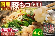 ＜先行予約＞【11月発送】 「藤よし」のもつ鍋（2-3人前）×2セット / モツ もつ 白もつ ホルモン ほるもん もつ鍋セット モツ鍋 / 御嵩町 / 藤よし [AVAA010-1]