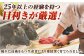 肉 お肉 切落し 不揃い にく 切り落し 岐阜 飛騨牛 ブランド牛 A5 牛肉 岐阜県 御嵩町 肉のキング