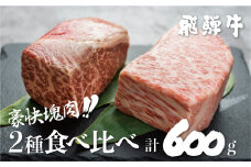 訳あり 飛騨牛ブロック [塊] 霜降り肉 赤身肉 300g×2 合計600g 食べ比べ 部位お任せ 不揃い 食べ比べ ブロック肉 セット 真空パック 黒毛和牛 肉 バーベキュー BBQ 焼肉 焼き肉 ローストビーフ 【ごちそう】JA 贅沢飛騨牛 20000円 2万円 [S046] 