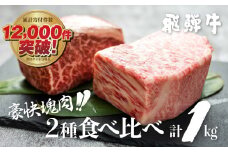 飛騨牛 ブロック肉 1kg (霜降り肉 赤身肉 500g×2 ) 訳あり 訳アリ 部位お任せ 不揃い ローストビーフ  牛肉 ブロック セット 真空パック 黒毛和牛 肉　肉厚　大容量  バーベキュー BBQ キャンプ 焼き肉 焼肉 ごちそう JA 30000円 駆け込み前の お申込なら すぐ届く すぐ届きやすい [S090]